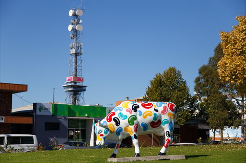 Shepparton Tower - SA Accommodation 1