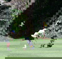 Teven Valley Golf Course - SA Accommodation