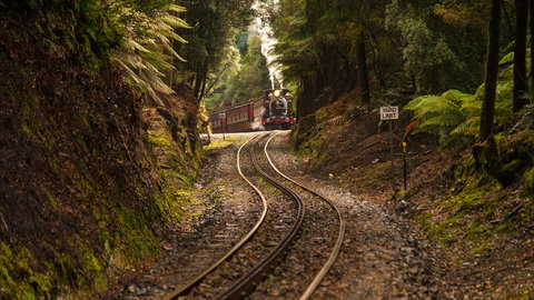 The West Coast Wilderness Way - SA Accommodation 0