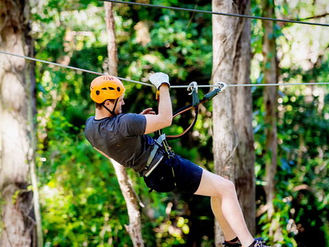 TreeTop Challenge Currumbin Wildlife Sanctuary - SA Accommodation 0