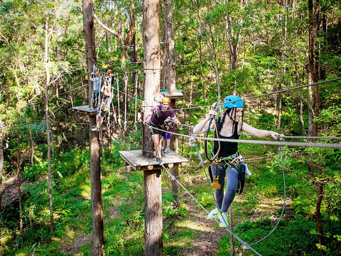 TreeTop Challenge Currumbin Wildlife Sanctuary - SA Accommodation 1