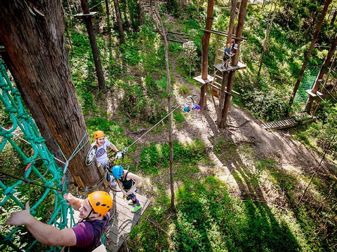 TreeTop Challenge Currumbin Wildlife Sanctuary - SA Accommodation 2