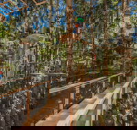 TreeTops Sydney The Hills - SA Accommodation