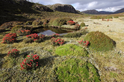 Walls Of Jerusalem National Park - SA Accommodation 1