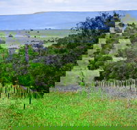 Wild Dog Barrier Fence - SA Accommodation
