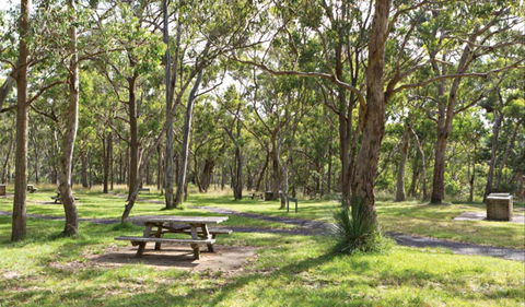 Wollomombi Gorge And Falls Picnic Area - SA Accommodation 0