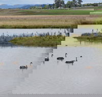 Beardy Waters Dam and Woodlands - SA Accommodation