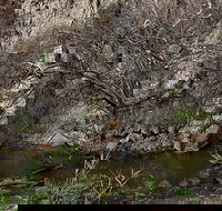 Brisbane Ranges National Park - SA Accommodation