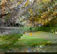 Gateway Island Parklands - SA Accommodation