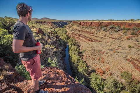 Gorge Rim Walk, Dales Gorge - SA Accommodation 0