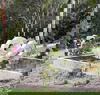 Maroochy Regional Bushland Botanic Garden - SA Accommodation