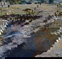 Wangaraleednie Monument  Ruins - SA Accommodation
