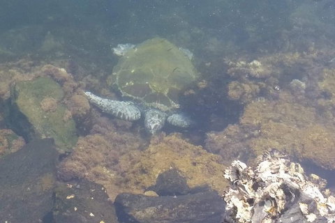 Sawtell To Coffs Harbour Bike Ride - SA Accommodation 4