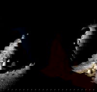 Jenolan Caves Extended Temple of Baal Cave Tour - SA Accommodation