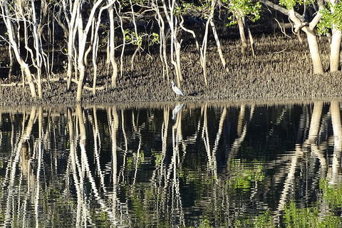 Sunset Eco Rainforest River Cruise - SA Accommodation 3