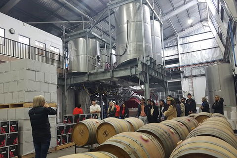 Hunter Valley Small Group Wine, Gin, Cheese & Chocolate Tour - SA Accommodation 6