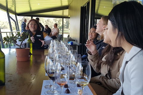 Hunter Valley Small Group Wine, Gin, Cheese & Chocolate Tour - SA Accommodation 2