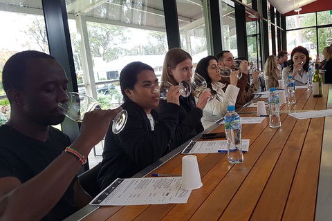 Hunter Valley Small Group Wine, Gin, Cheese & Chocolate Tour - SA Accommodation 3