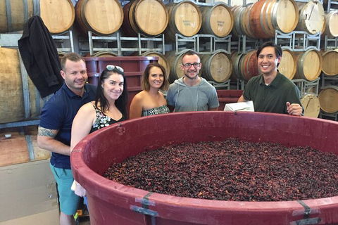 Hunter Valley Small Group Wine, Gin, Cheese & Chocolate Tour - SA Accommodation 0