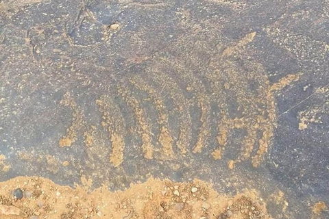 Aboriginal Rock Art - SA Accommodation 0