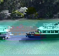 Byron Bay Rainforest Eco-Cruise - SA Accommodation