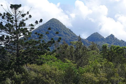 Byron Bay Rainforest Eco-Cruise - SA Accommodation 3