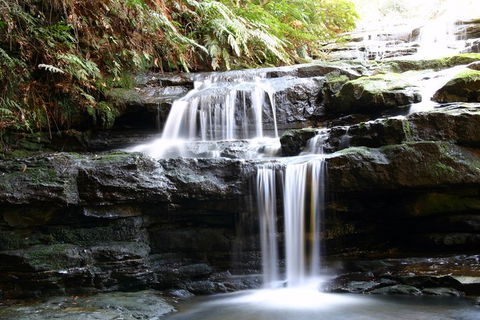 Private 10-hour Tour To Blue Mountains From Sydney - Hotel Pick Up & Drop Off - SA Accommodation 6