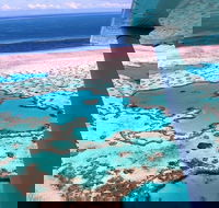 8-Day Cairns Tour Great Barrier Reef Kuranda Daintree Rainforest - SA Accommodation