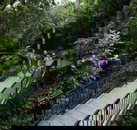 4-Day Cairns with Great Barrier Reef and Daintree Rainforest - SA Accommodation