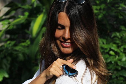 Australian Butterfly Sanctuary - SA Accommodation 5