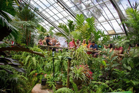 Australian Butterfly Sanctuary - SA Accommodation 4