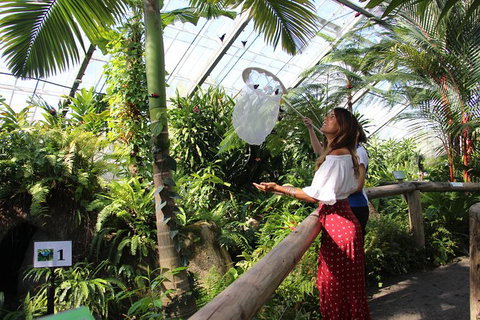 Australian Butterfly Sanctuary - SA Accommodation 2