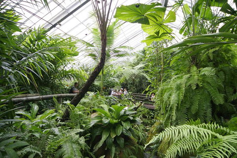 Australian Butterfly Sanctuary - SA Accommodation 1