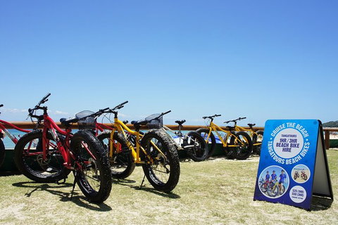 Adventure Moreton Island Scuba Dive Tour - SA Accommodation 1