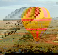 Barossa Valley Hot Air Balloon Ride with Breakfast - SA Accommodation
