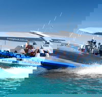Seal Island Boat Tour from Victor Harbor - SA Accommodation