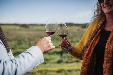 Armagh Vineyard Exclusive Wine Experience And Lunch - SA Accommodation 1