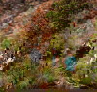 3-Night Wilpena Pound Getaway Including Scenic Flight and 4WD Tour - SA Accommodation