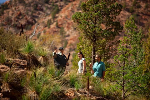 3-Night Wilpena Pound Getaway Including Scenic Flight And 4WD Tour - SA Accommodation 0