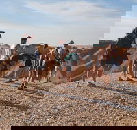 4 Day Adelaide to Coober Pedy Adventure - SA Accommodation
