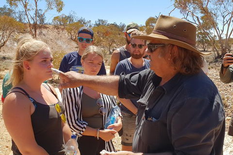 10 Day Adelaide To Alice Springs Adventure - SA Accommodation 9