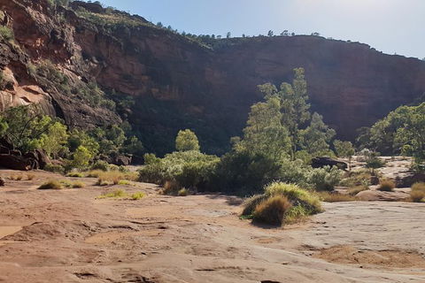 10 Day Adelaide To Alice Springs Adventure - SA Accommodation 7