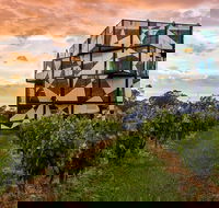d'Arenberg Cube / McLaren Vale Regional Tour - SA Accommodation