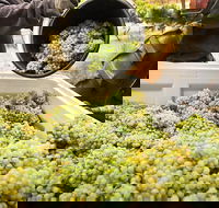 Adelaide Hills Wineries  Hahndorf - SA Accommodation