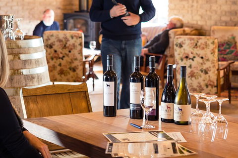 Wine Tasting At Our Cellar Door In Penola - SA Accommodation 1