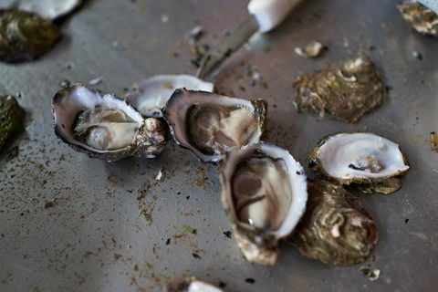 Fine Flavours - Full Day Kangaroo Island Food & Wine Tour - SA Accommodation 10
