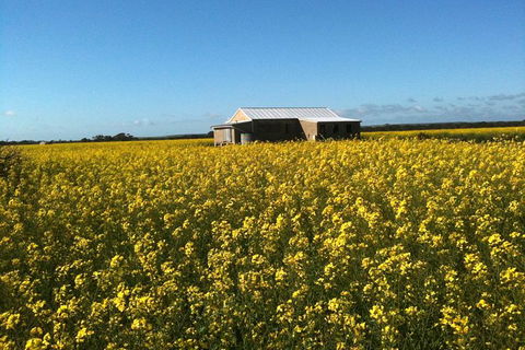 Fine Flavours - Full Day Kangaroo Island Food & Wine Tour - SA Accommodation 11