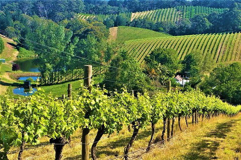 Adelaide Hills Private Day Tour - SA Accommodation 0