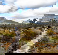 Cradle Mountain Day Tour - SA Accommodation