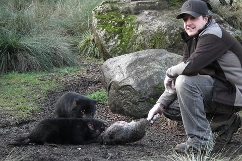After Dark Tasmanian Devil Feeding Tour At Cradle Mountain - SA Accommodation 0